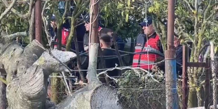 Roskovec, çifti varroset veçmas, fëmijët “lënë babanë” në morgun e Fierit