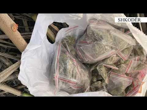 Porosia e dështuar! U nisën me motor për të shpërndarë drogë, policia u gjen edhe arsenalin e armëve