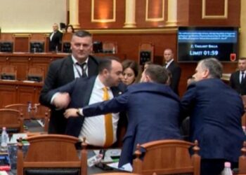 Ofendime në Kuvend, Sekretariati i Etikes përjashton me 10 ditë Bardhin dhe Balliun