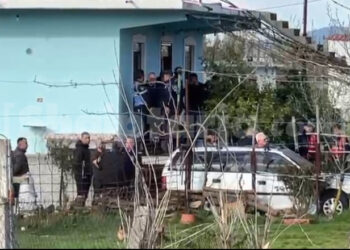 Vrasja e dyfishtë në familje, Policia e Fierit jep detajet