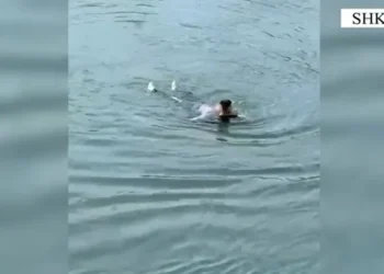 Tentoi të vetëmbytej në lumin Buna, forcat e policisë nxjerrin nga uji 59-vjeçaren në gjendje të rëndë