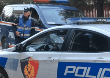 Nga armë e drogë, te përndjekja e vjedhja! Gjashtë persona bien në prangat e policisë