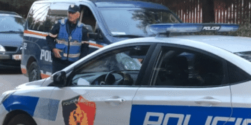 Nga armë e drogë, te përndjekja e vjedhja! Gjashtë persona bien në prangat e policisë