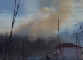 Zjarri përfshin një sipërfaqe pyjore në Pogradec, zjarrfikësit dhe banorët në luftë me flakët