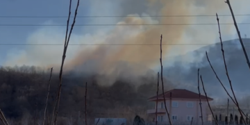 Zjarri përfshin një sipërfaqe pyjore në Pogradec, zjarrfikësit dhe banorët në luftë me flakët