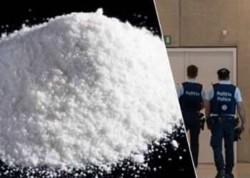 Arratisen drejt Shqipërisë, shpallen në kërkim tre shqiptarët e akuzuar për trafik droge në Belgjikë, humbin garancinë mijëra euroshe