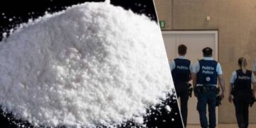 Arratisen drejt Shqipërisë, shpallen në kërkim tre shqiptarët e akuzuar për trafik droge në Belgjikë, humbin garancinë mijëra euroshe