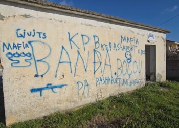 Fshati në Fier më shumë banesa se njerëz, qendra shëndetësore është kthyer në gërmadhë