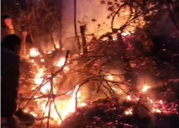 Zjarr në Proptisht, era favorizon flakët