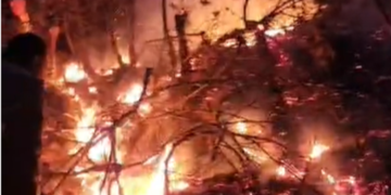 Zjarr në Proptisht, era favorizon flakët