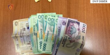 Shiste kokainë në lokalin e tij, arrestohet 20-vjeçari në Dibër