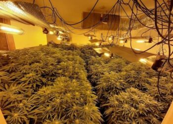 “Shtëpitë e barit” në Shkodër përplasin policinë me OSHEE-në: Po prangosen punonjësit në çdo aksion