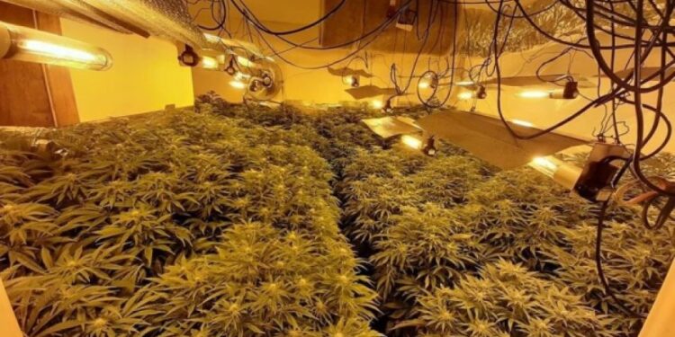 “Shtëpitë e barit” në Shkodër përplasin policinë me OSHEE-në: Po prangosen punonjësit në çdo aksion