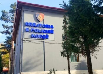 Dyshohet se braktisi fëmijët e saj të mitur, policia vihet në kërkim të 40-vjeçares në Korçë