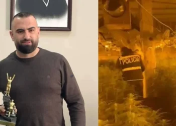 Lirohet drejtori i Burgut të Rrogozhinës, hetimet nuk gjetën lidhje mes tij dhe magazinave të kanabisit