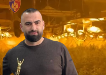 Publikohen pamjet nga magazina e drejtorit të burgut të Rrogozhinës, ja si funksiononte laboratori i sofistikuar i drogës me 4 mijë rrënjë kanabis në Peqin