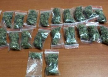 Shpërndante kokainë dhe kanabis në qytetin e Lushnjës, arrestohet 36-vjeçari