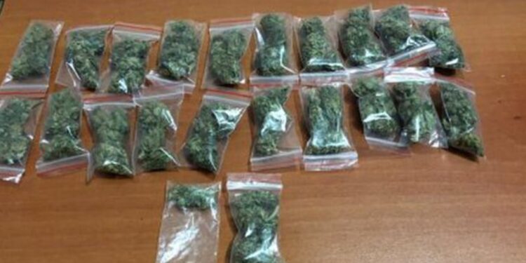 Shpërndante kokainë dhe kanabis në qytetin e Lushnjës, arrestohet 36-vjeçari