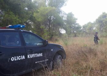 DETAJE / Sekuestrohen 34 kg kanabis në pikën kufitare të Goricës në Korçë, arrestohen dy shtetas grekë