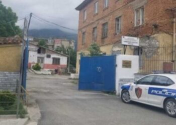Nga Tirana në Leskovik për të dhunuar nënën, tezen dhe gjyshen, arrestohet 40-vjeçari