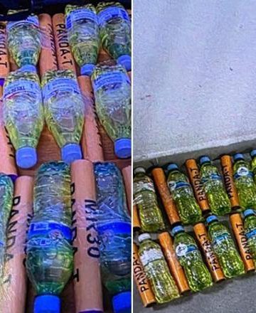 Dështon skenari i opozitës! Kapet sasia e lartë e molotovëve të pashpërthyer, mbi 20 të shoqëruar në polici