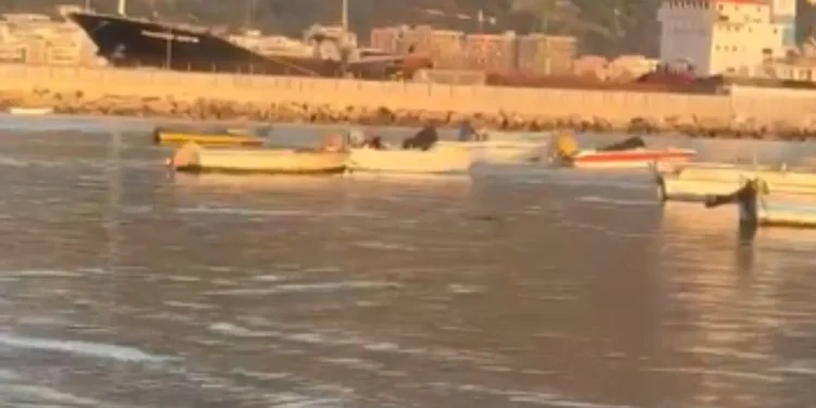 Tragjedi në Vlorë! 32-vjeçarja gjendet e mbytur në Plazhin e Vjetër