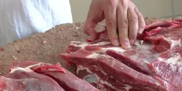 Shqiptarët u “ngopën” me mish Brazili, ndërsa BE po e bllokon