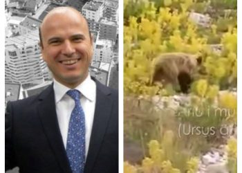 Dhëndri i Berishës kërkon t’i njihen meritat për shfaqjen e një ariu në Parkun e Prespës. ‘Disidenti i djathit’ plan për të përfituar kulla të tjera nga qeveria Rama?
