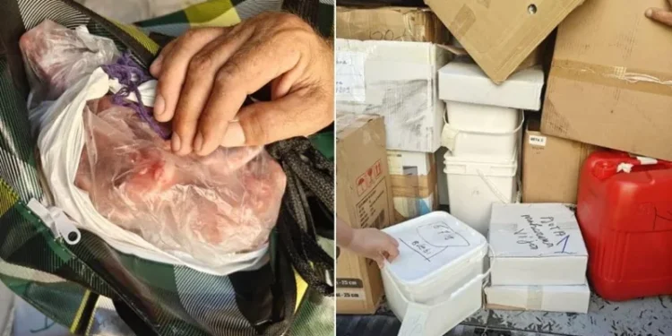 Bllokohet në Maltë ngarkesa me ushqime nga Shqipëria, autoritetet: Rrezik për shëndetin publik