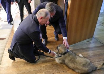 Skenari “Medvedev-Putin” në Beograd: Manovrat e Vuçiç-it për të mbajtur pushtetin