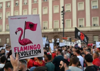 Komplot ndaj shtetit? Nis ngritja e Kuvendit të Revolucionit, zbulohen emrat e 700 kandidatëve, shërbimet në alarm