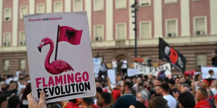 Komplot ndaj shtetit? Nis ngritja e Kuvendit të Revolucionit, zbulohen emrat e 700 kandidatëve, shërbimet në alarm