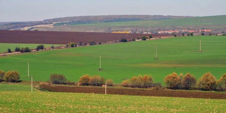 Regjistrohen 1,143 hektarë tokë me dokumente të falsifikuara, në pranga dy ish-drejtorë të Kadastrës
