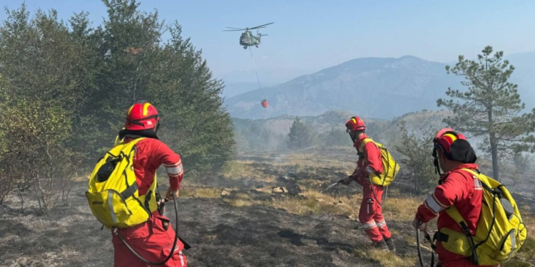 Si paraqitet situata nga zjarret? Problematika në Shkodër, Dajt, Dibër, Lezhë e Berat