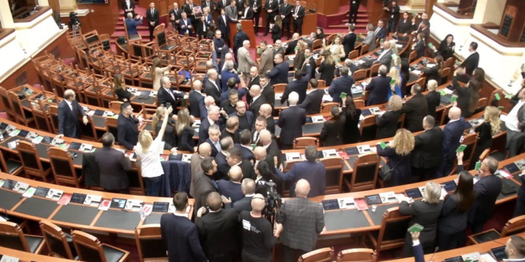 Deputeti i PD shtyn ish-ministrin, i gjuan me bllokun e votimit në kokë! Tenton të godasë edhe Çuçin