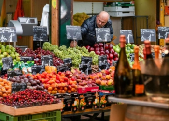 Shkencëtarët kanë vërtetuar se dy lloje frutash kanë fuqinë të ngadalësojnë plakjen e qelizave