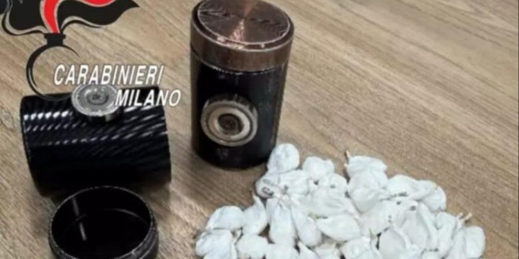 Itali/ Kapet me drogë shqiptari 23-vjeçar, përdori dokumentet e vëllait binjak për të fshehur identitetin