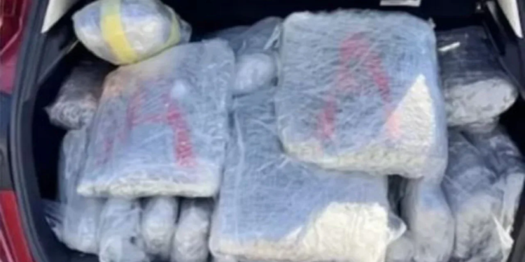 Sekuestrohen 70 kg marijuanë në Igumenicë, arrestohet drejtuesi grek i mjetit