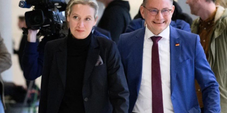 Plas skandali i të dhënave, tronditet AfD-ja në Gjermani, publikohen 421 mijë e-maile dhe dokumente!