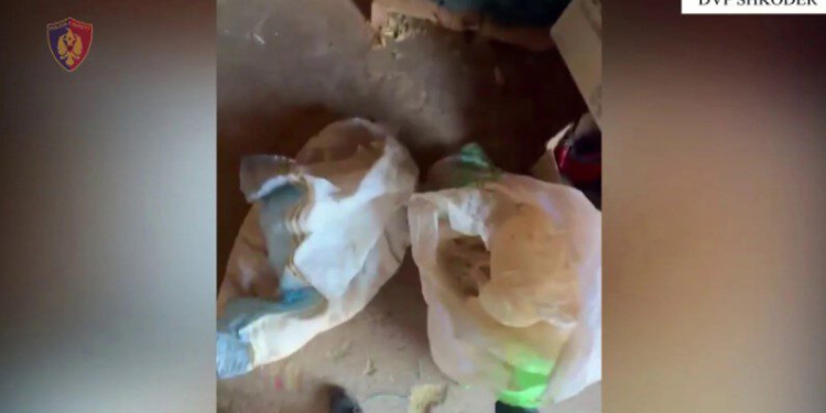 Çmontohet grupi i drogës në Malësinë e Madhe, 4 persona bien në pranga, 3 të tjerë në kërkim! Sekuestrohen 265 kg kanabis dhe…
