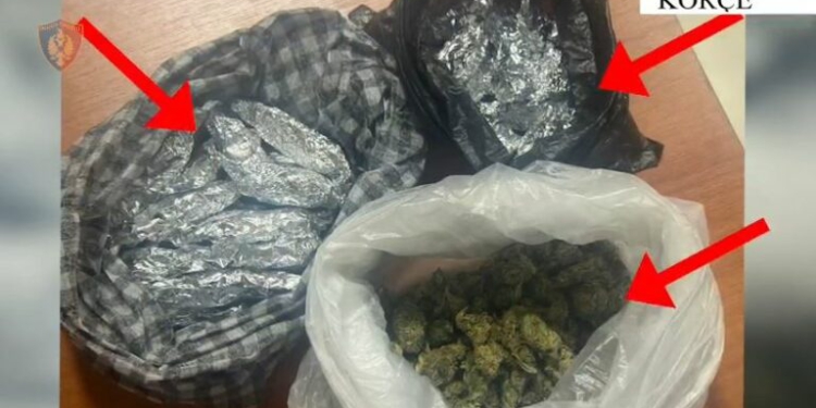 Operacioni “Gjurmët”/ Zbulohen mbi 56 kg kanabis në pyjet e Komanit, arrestohen 4 persona