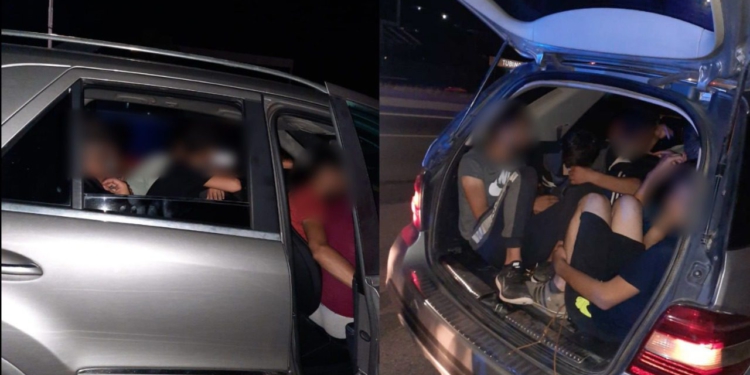 Po trafikonte 3 afrikanë drejt Malit të Zi, arrestohet 44-vjeçari në Hanin e Hotit! Ja çfarë iu gjet gjatë kontrollit