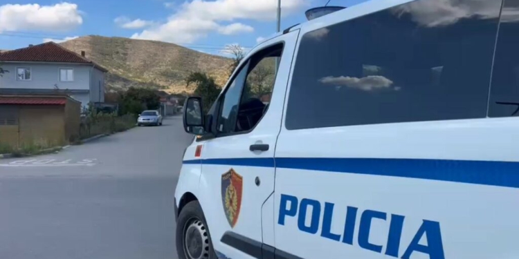 “Më qëlluan prindërit”! Zbardhet dëshmia e autorit të vrasjes të 2 vëllezërve në Kamëz