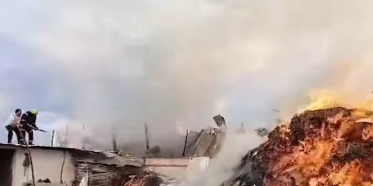 Krujë/ Zjarr në një kasolle ushqimore për kafshë, digjen edhe disa bagëti, dëme të shumta (VIDEO)