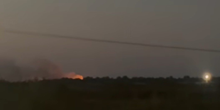 Zjarr në Fier, përfshihet nga flakët sipërfaqja me shkurre (VIDEO)